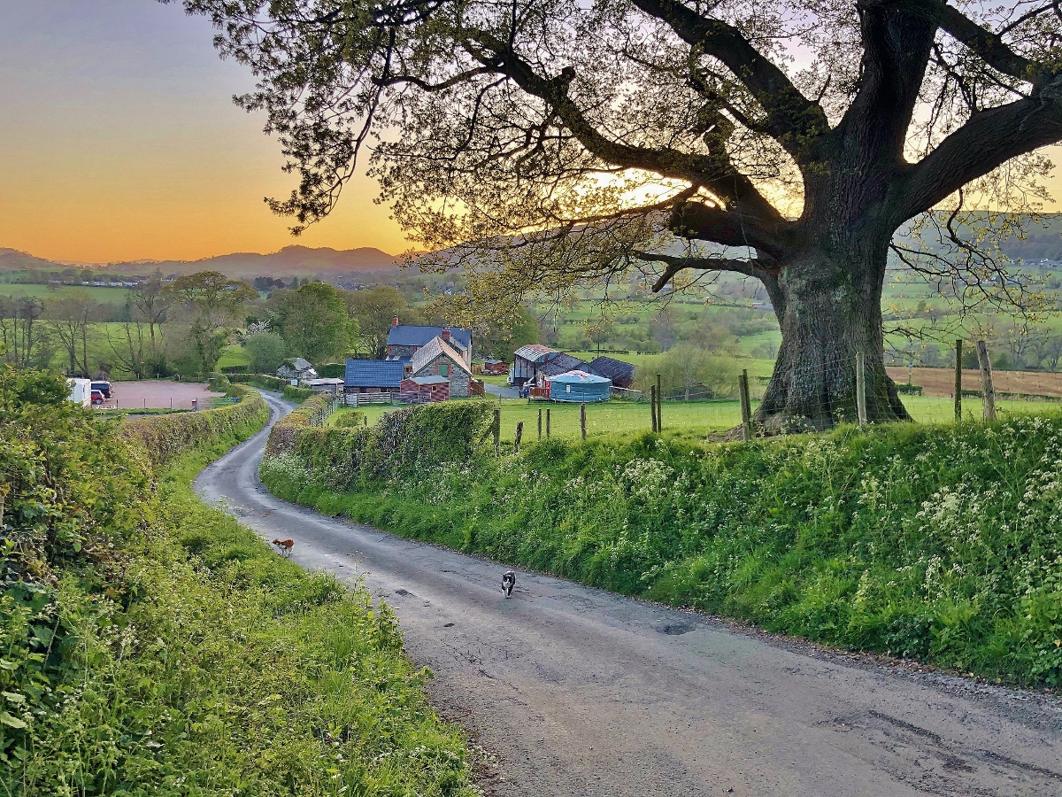 10 Reasons for a Staycation Holiday in Britain or Ireland staycation