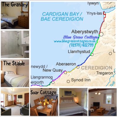 Our 3 Cottages in Chancery, Aberystwyth
