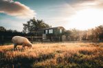 Little Ranch Glamping